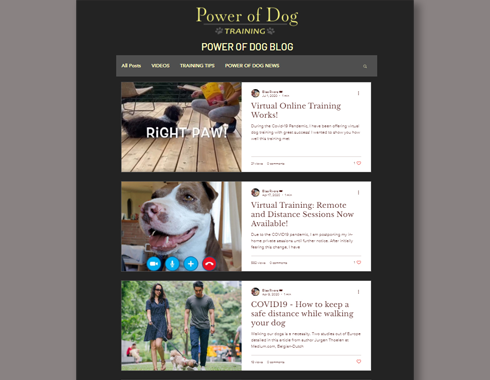 power of dog training blog