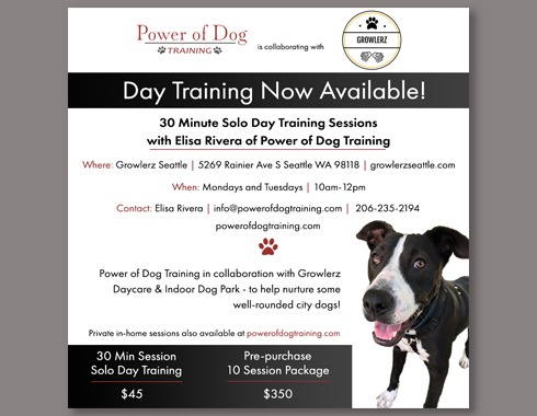Flyer for Power of Dog Training