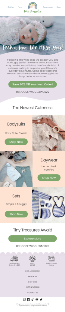 Email Marketing Winback Flow