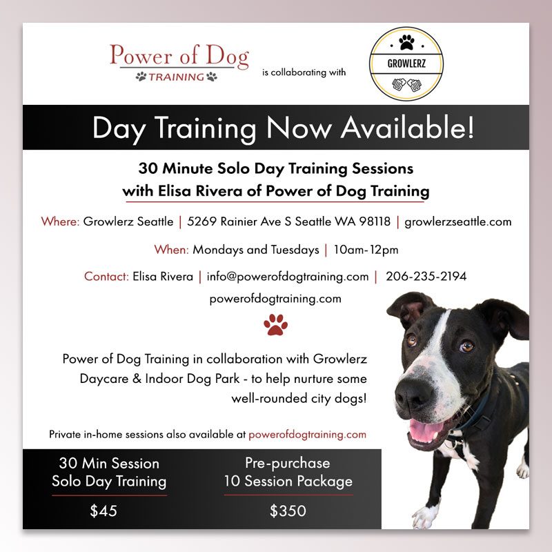 Power of Dog Flyer